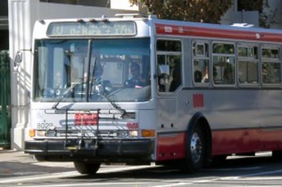 bus