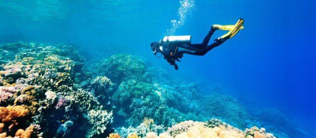 Tips When Going Snorkeling - California Beat