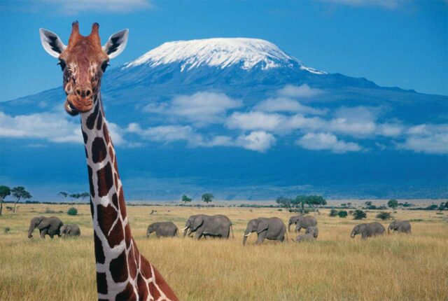 kili2