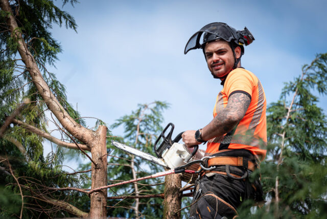 The Art of Tree Care: Unleashing the Benefits of Professional Arborist ...